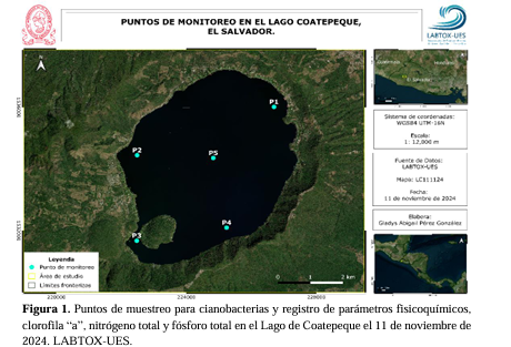 Informe de Fitoplancton y Determinación del Escardo Trófico del Lago de Coatepeque