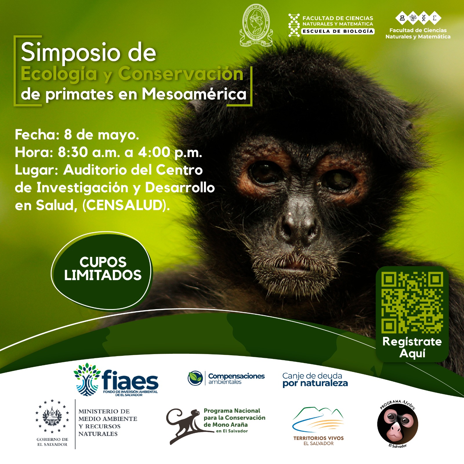 Invitación a participar en simposio de ecología y conservación de primates en Mesoamérica