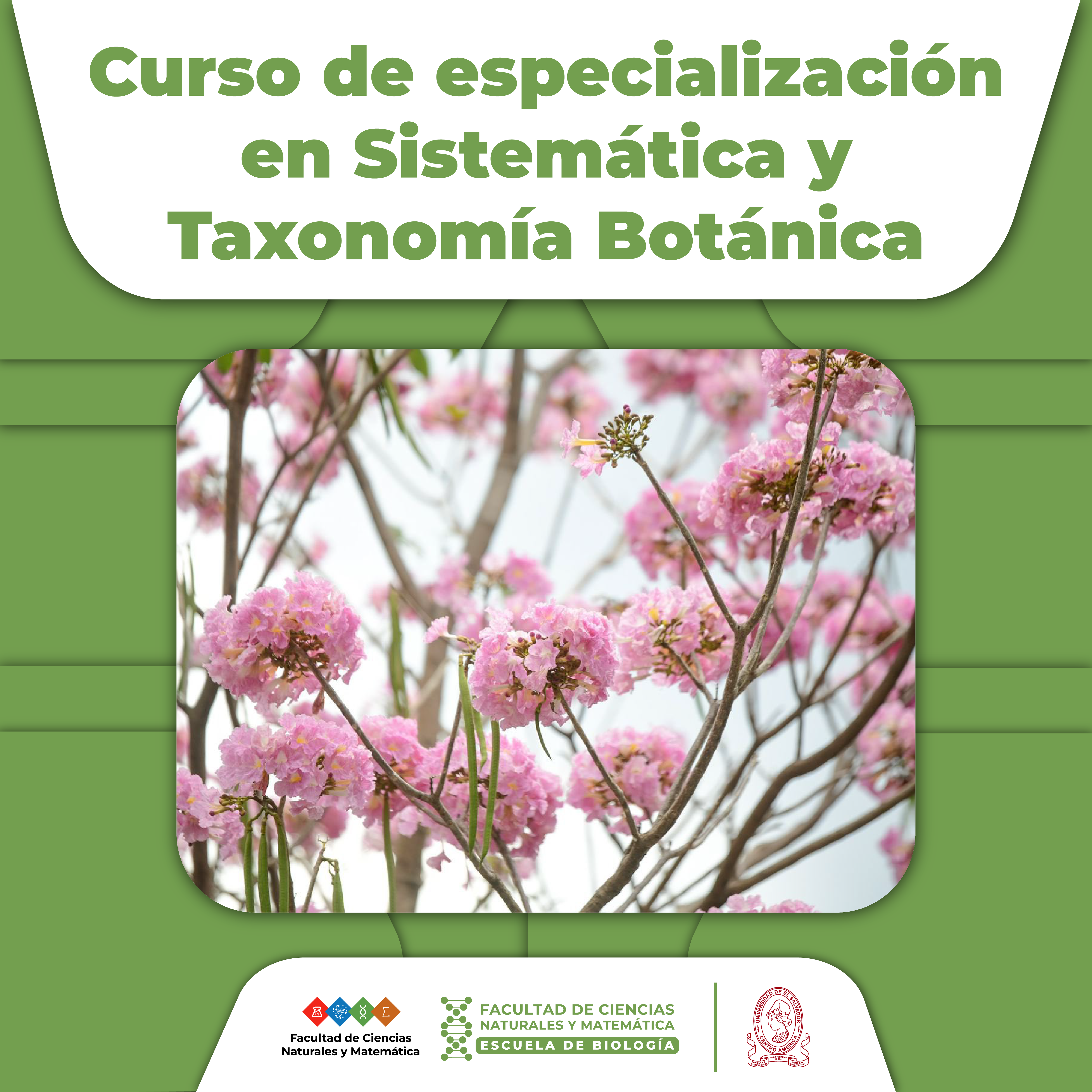 La Escuela de Biología 🌿 se complace en anunciar la apertura del curso de especialización en Sistemática y Taxonomía Botánica 🌱. Este curso está dirigido a egresados de la Licenciatura en Biología de la Facultad de Ciencias Naturales y Matemática UES 🎓