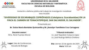 Defensa pública del trabajo de investigación en modalidad de tesis