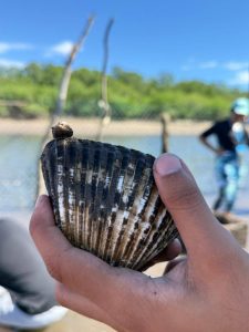 Estudiantes conocen el cultivo de casco de burro