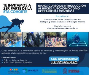 AVISO IMPORTANTE