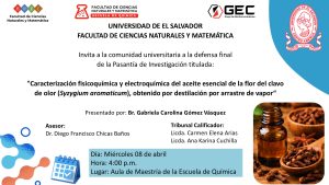 Defensa final de la pasantía de investigación